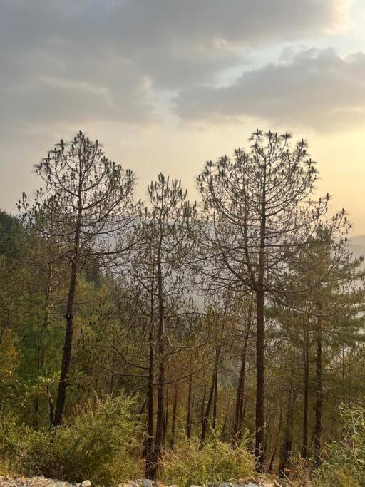 Residence Inn Homestay Shimla Luaran gambar