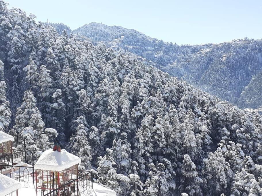 Residence Inn Homestay Shimla Luaran gambar
