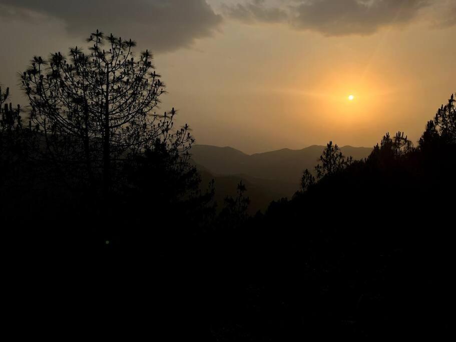 Residence Inn Homestay Shimla Luaran gambar