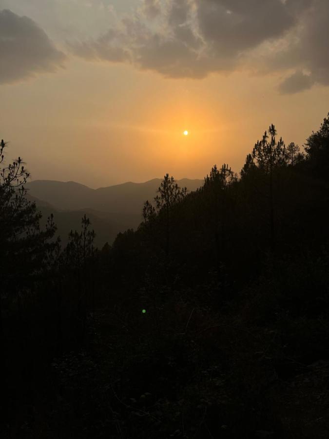 Residence Inn Homestay Shimla Luaran gambar