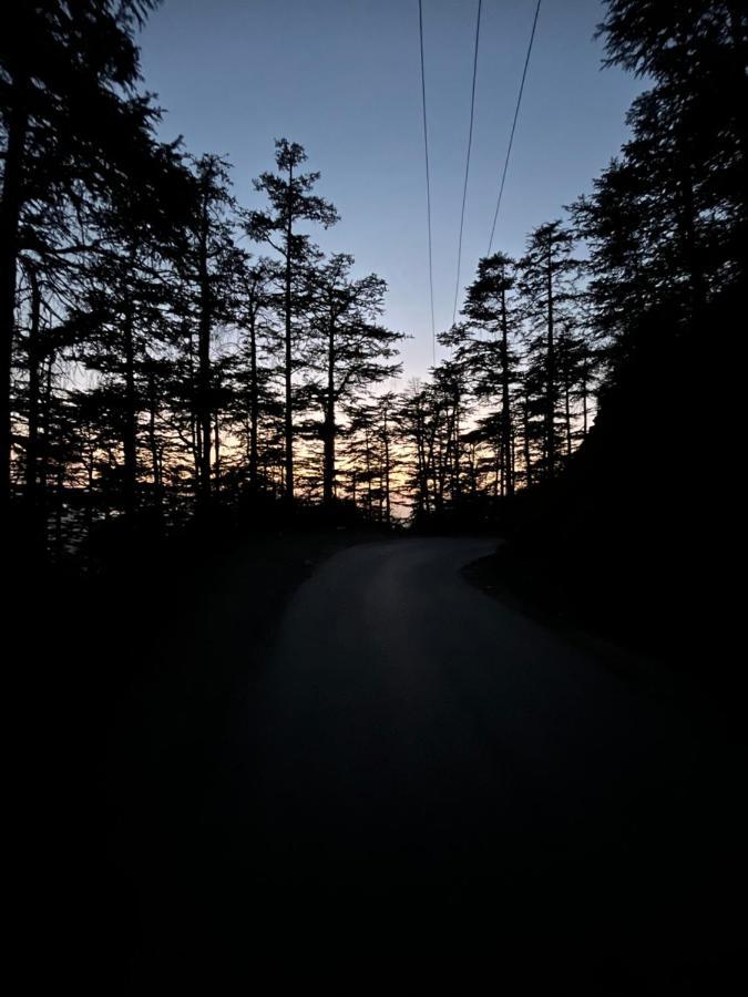 Residence Inn Homestay Shimla Luaran gambar